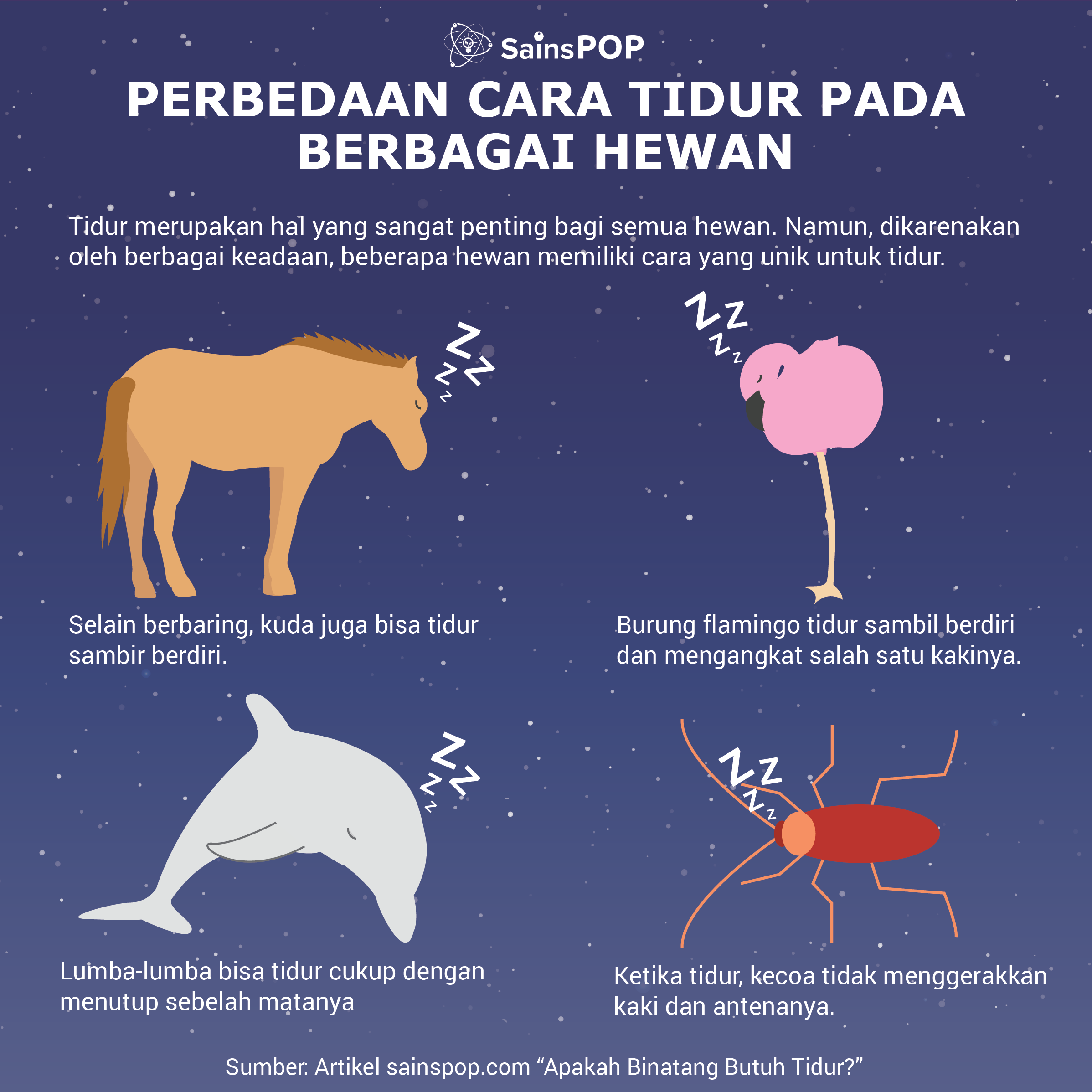 Apakah Ikan Bisa Tidur - Rectangle Circle