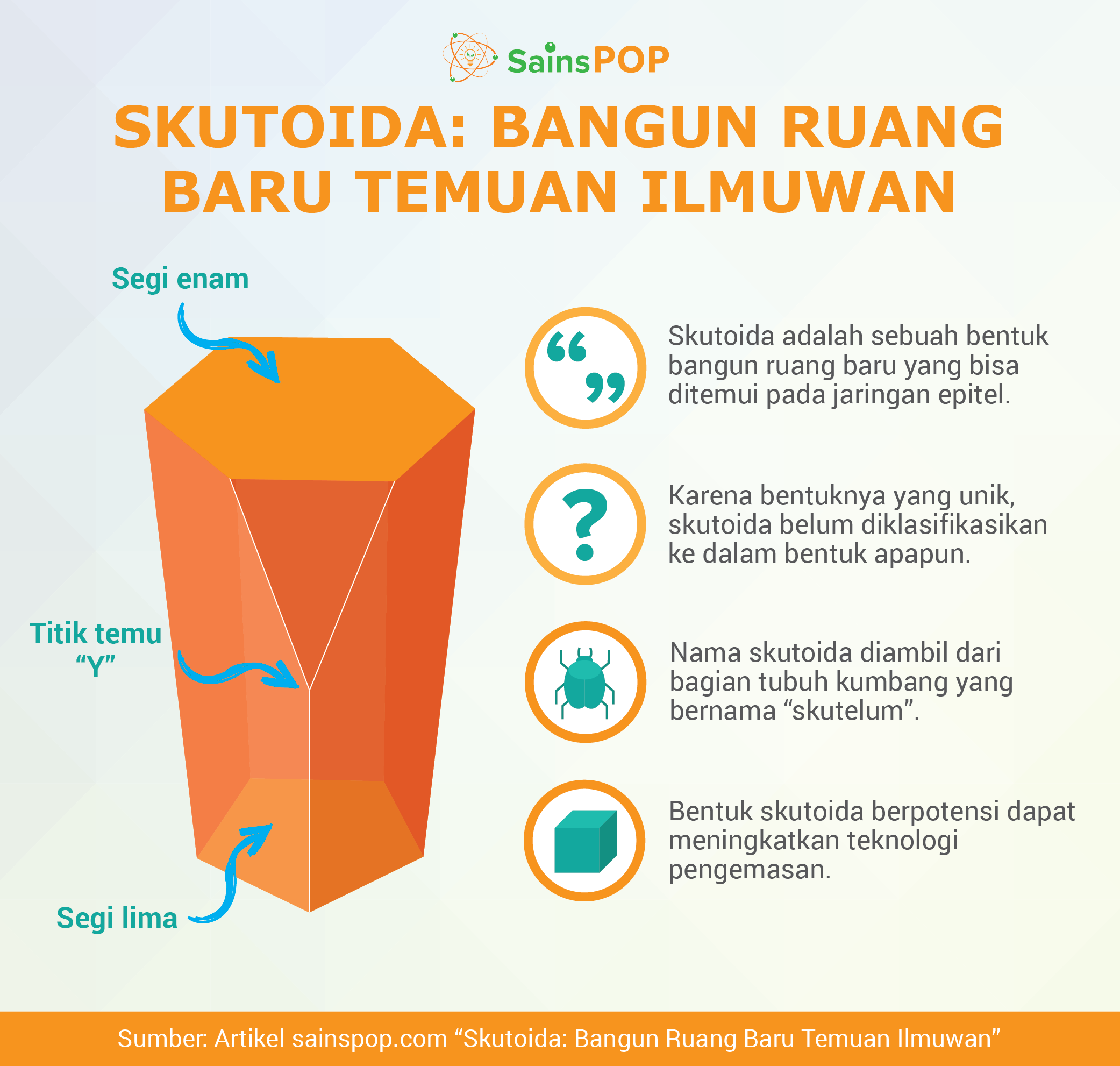 Apakah kalian menjawab kubus balok atau silinder kalian tidak salah Biasanya jaringan epitel memiliki bentuk tersebut Di matematika bentuk bentuk ini