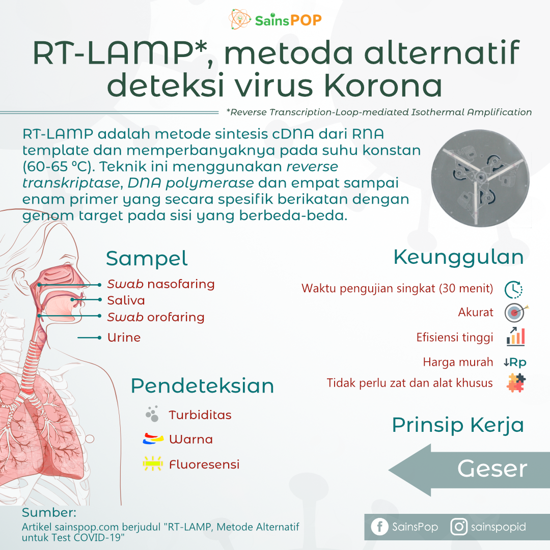 RTLAMP, Metode Alternatif untuk Test COVID19 SainsPop