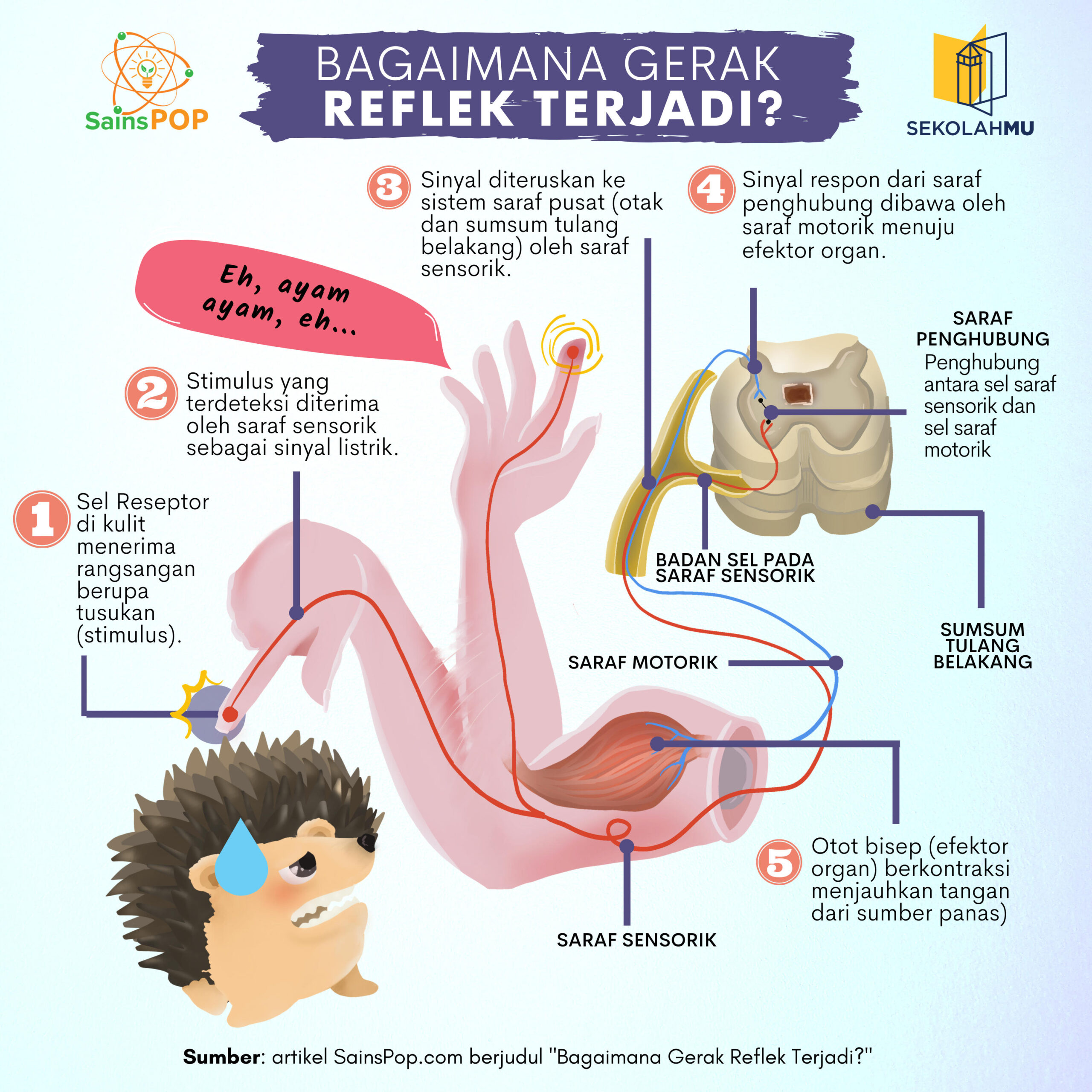 Gerak Refleks Fitur Keamanan Di Dalam Tubuh Kita Sainspop